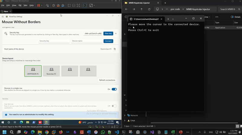 /assets/images/dfir/ewb/poc.gif